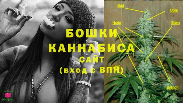 MESCALINE Корсаков