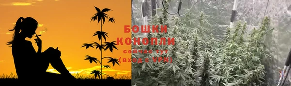 mdpv Костерёво