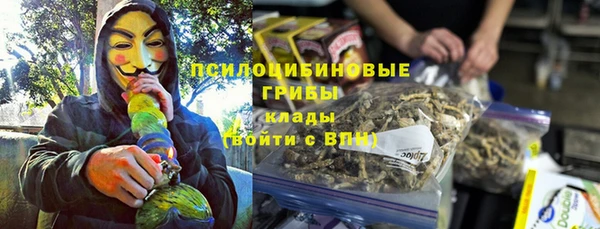 гидропоника Коряжма