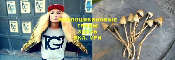 MESCALINE Корсаков