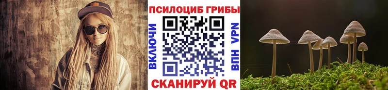 Псилоцибиновые грибы мухоморы  Купить где  Талдом 